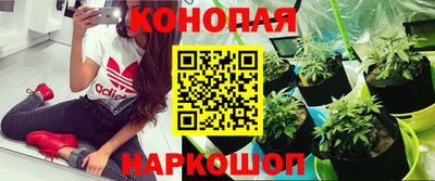 2c-b Заводоуковск