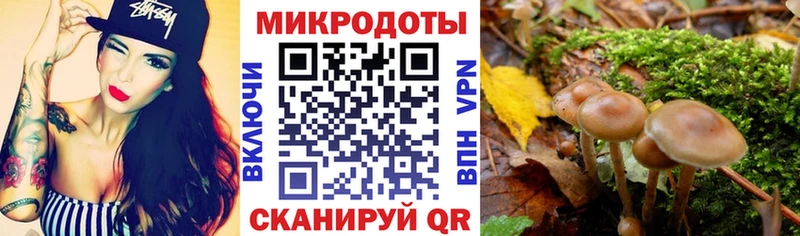 Псилоцибиновые грибы Cubensis  купить наркоту  Комсомольск-на-Амуре 