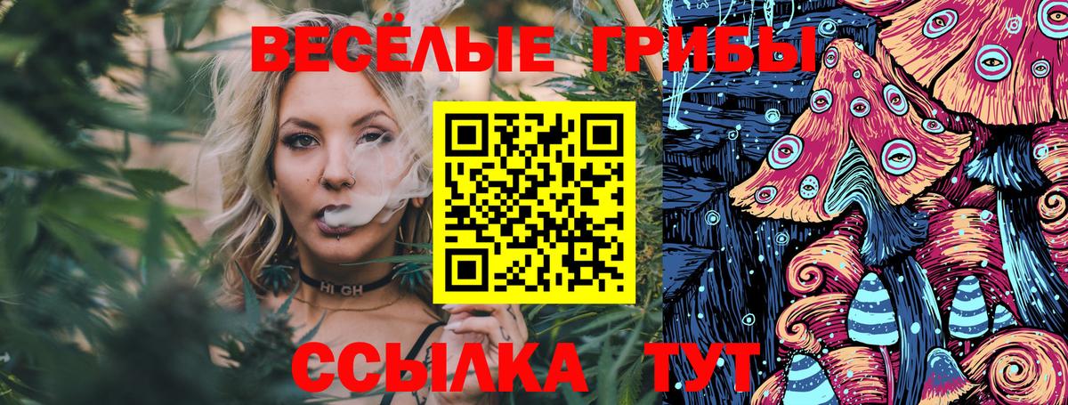 Псилоцибиновые грибы Cubensis Комсомольск-на-Амуре