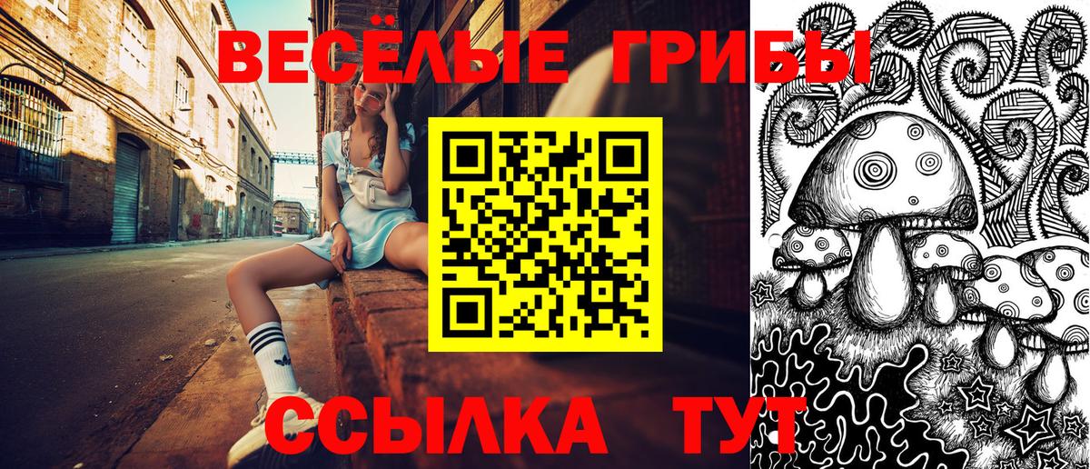 Комсомольск-на-Амуре  Псилоцибиновые грибы Magic Shrooms  купить наркоту  Псилоцибиновые грибы мухоморы  Вход с VPN 